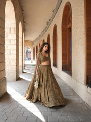 ZIVA
