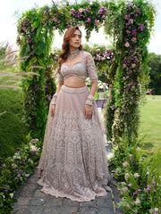 PINK  MAHARANI