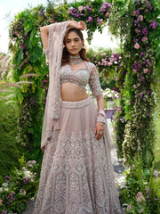 PINK  MAHARANI