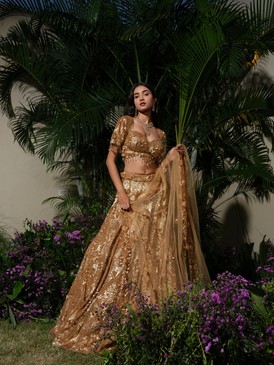 ROYAL MIDAS